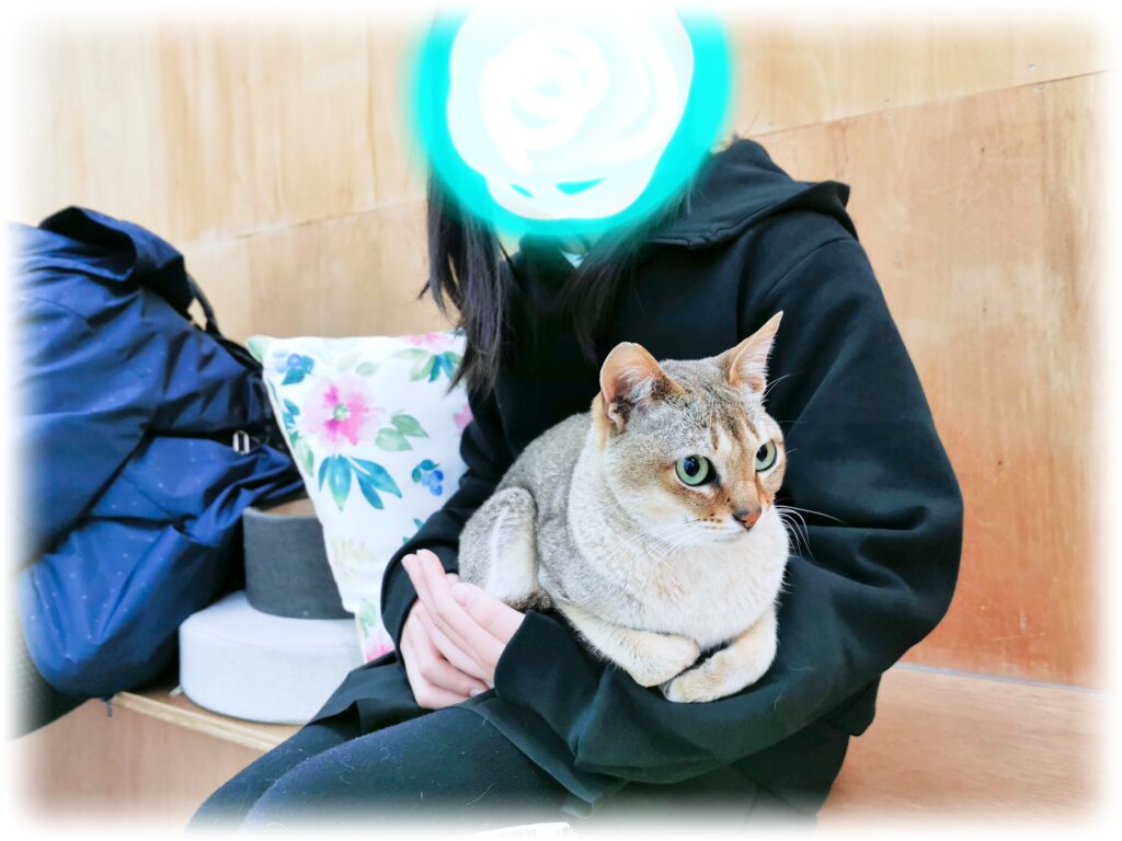 ひざにねこ