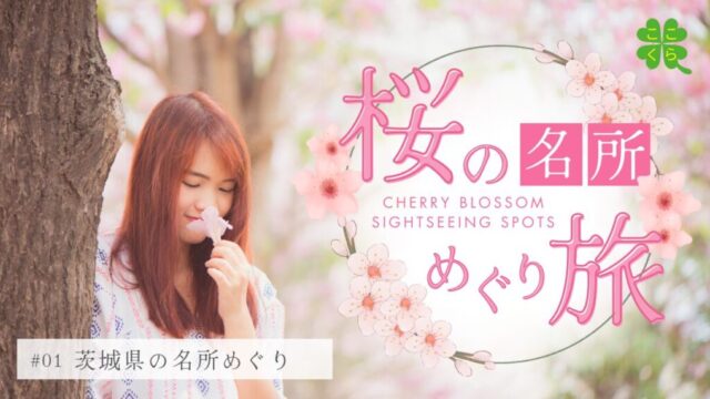 cherry-blossom-sightseeing-spots